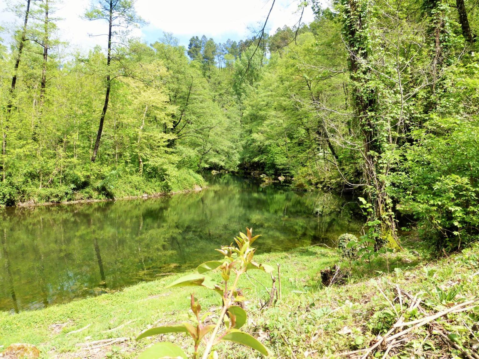 Chateau Du Fraissinet, 6 Gites Sleeping 2-8 Guests, Pool And River On Site La Tronche  Екстериор снимка