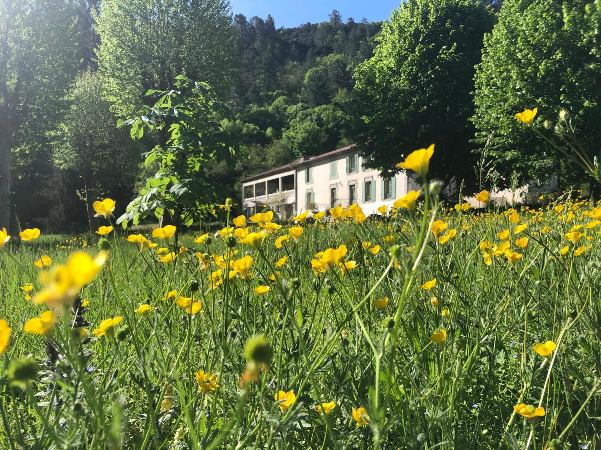 Chateau Du Fraissinet, 6 Gites Sleeping 2-8 Guests, Pool And River On Site La Tronche  Екстериор снимка